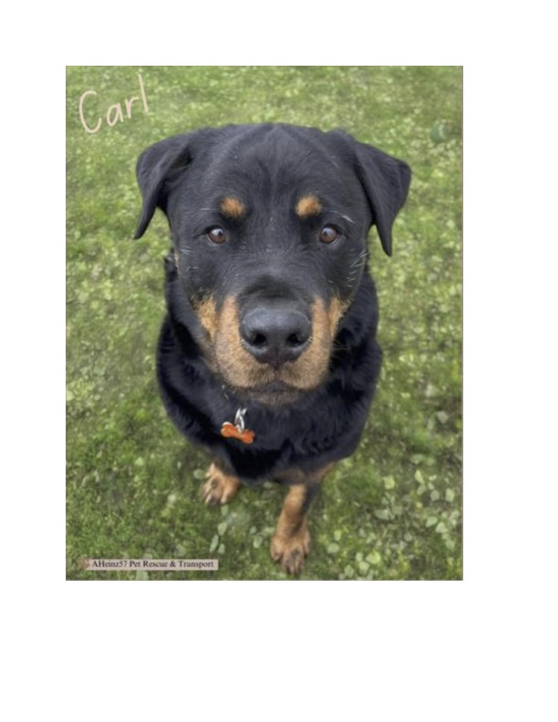 Carl- location De Soto, IA