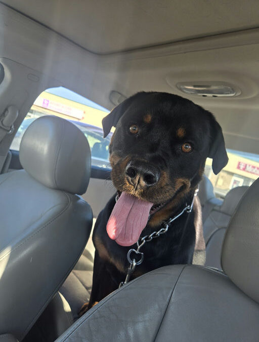 Zehra- location Windsor Heights, IA