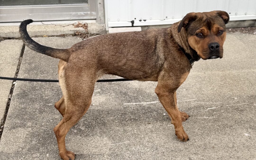 Sadie- location Algona, IA