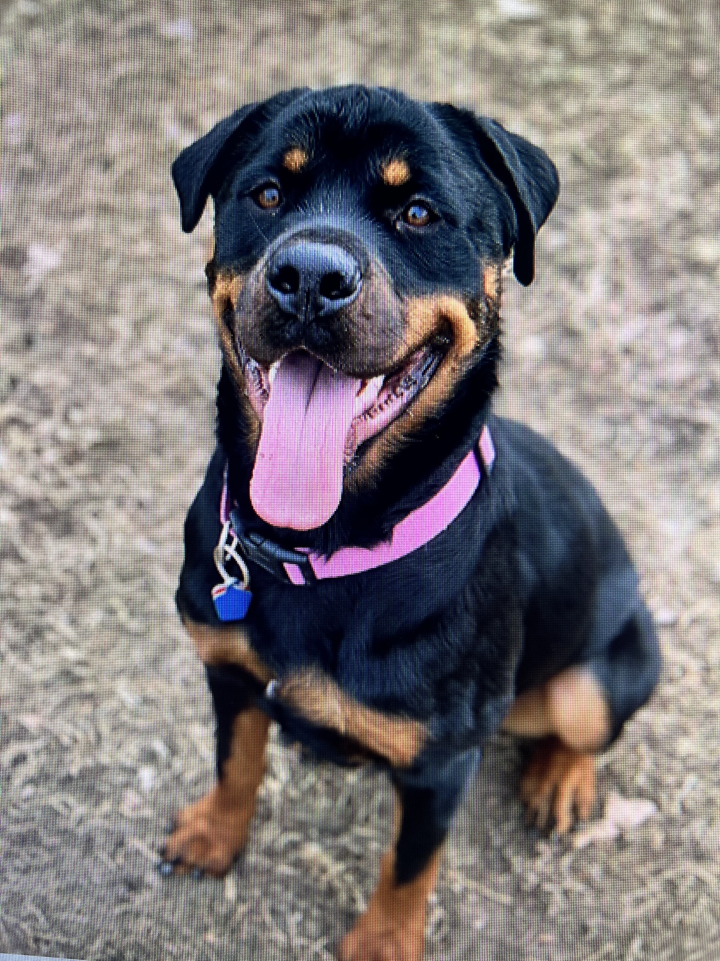 Boots- location-De Pere, WI